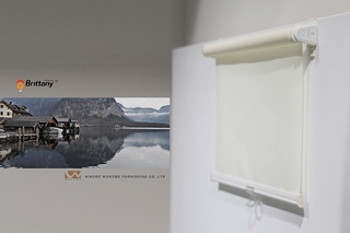 Spring Loaded Roller Blinds WB-MSR-X1